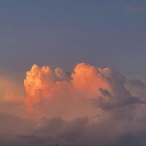 男女裸体做爰全过程
