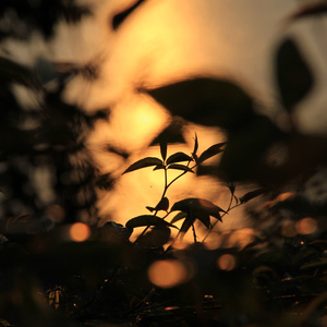 男女裸体做爰全过程
